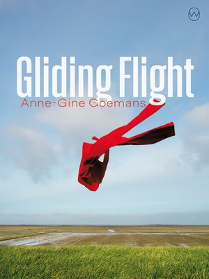 cover image of Gliding Flight